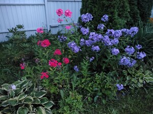 IMG_20260801_205830.jpg