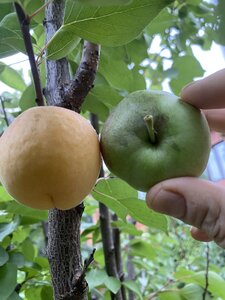 IMG_8092.jpeg