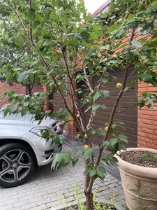 IMG_8099.jpeg