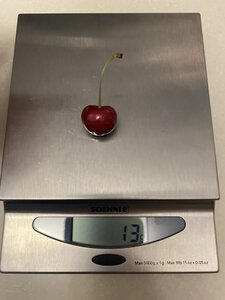 IMG_7761.jpeg