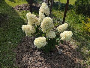 IMG_20260816_143624.jpg
