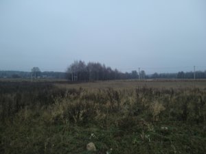 поселок.JPG