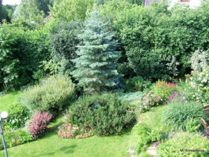 DSCF4250.JPG