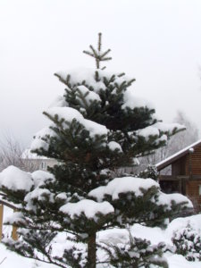 DSCF5078.JPG