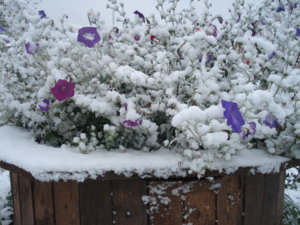 DSC00537.JPG