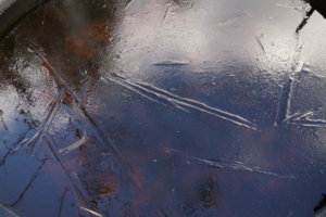 P1050115_resize.JPG