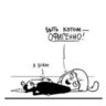 Кампанула