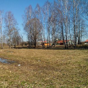 IMG_20130423_112558