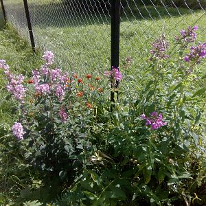 IMG_20160813_110500
