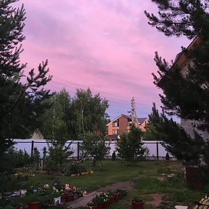 IMG_3406
