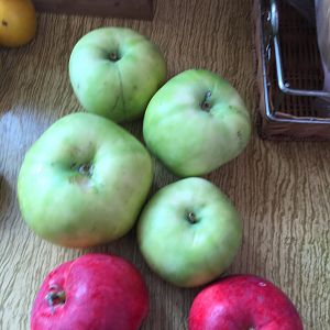 IMG_4354