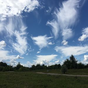 IMG_8461