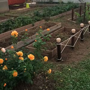 2017-08-24-PHOTO-00007943