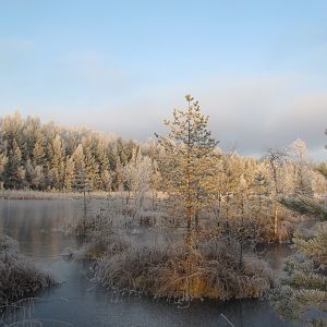 IMG_1048