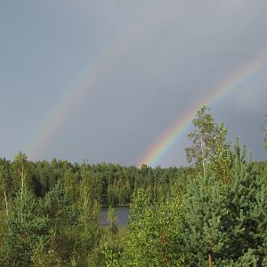 IMG_0730