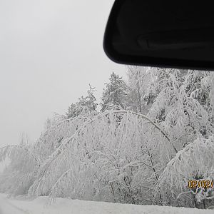 IMG_1526