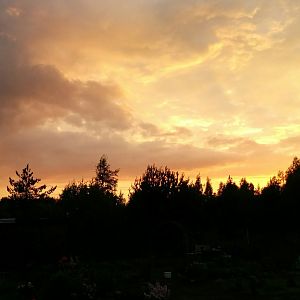 Дом у Озера. Природа