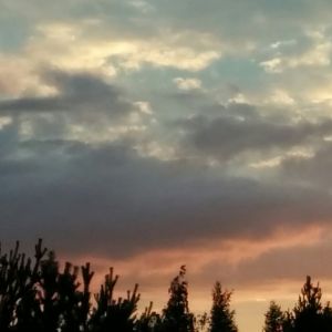 IMG_20160713_215537