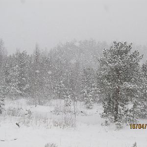 IMG_6597