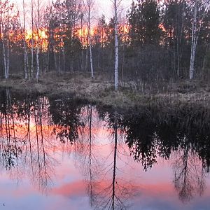 IMG_6634