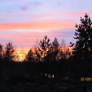 IMG_6638