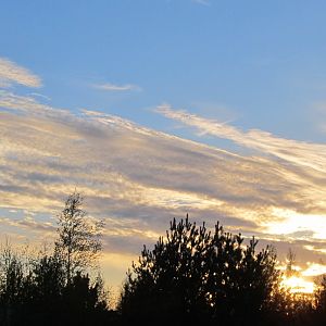 IMG_6862