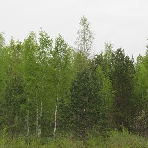 IMG_6950