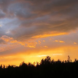IMG_7362