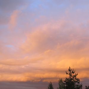 IMG_7373