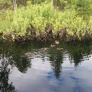 IMG_20170707_123202