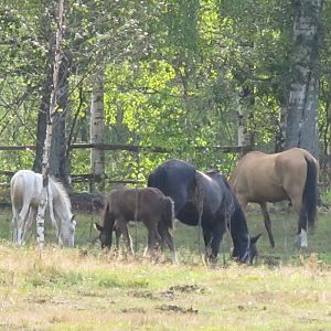 IMG_0720