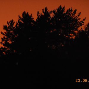 0720 024