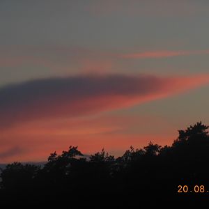0720 005