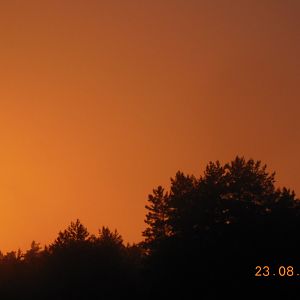 0720 020