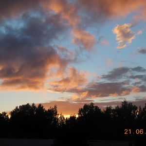 DSCN2600