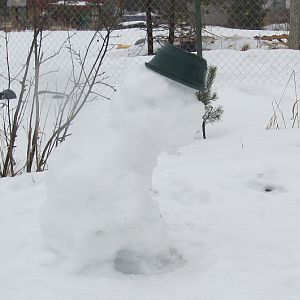 IMG_0303