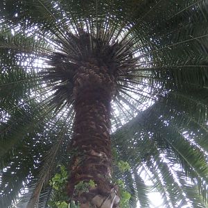 P4060013