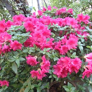 P4060019