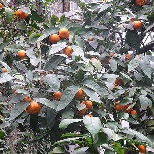 P4060031