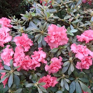 P4060087