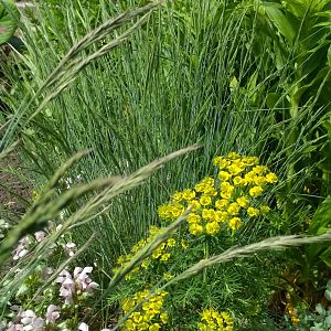 IMG_20180601_102321