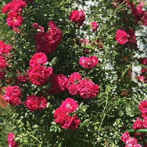 38C39B56-E477-4BD1-8FB9-B0F3EAD690E1