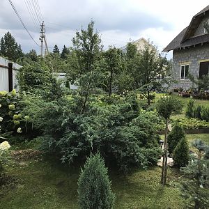 IMG_7320