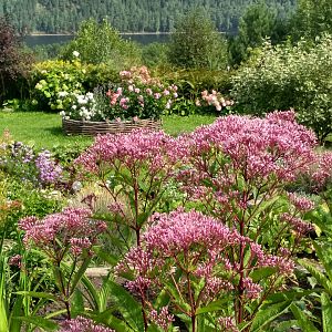 IMG_20180824_143843_HDR