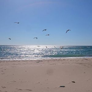 IMG_20181001_132816_850