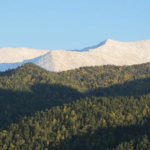 IMG_7781