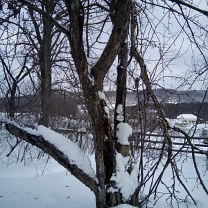 IMG_20190210_120907