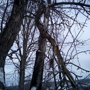 IMG_20190210_120854