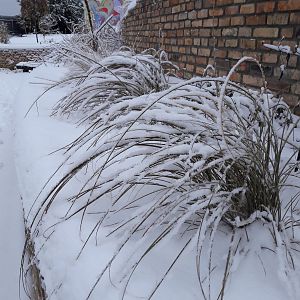 20181211_100418