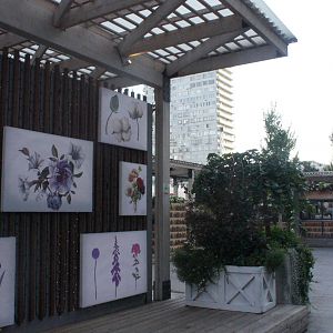 DSC01440